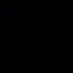 Meet your Posher, Bryce